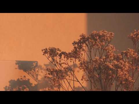 chachachá - jósean