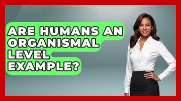 Are Humans An Organismal Level Example? - All About Anatomy Answers