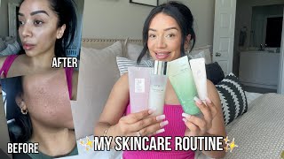 How I got rid of texture skin, large pores + excess sebum | Korean Skincare Routine 🫧