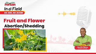 Fruit and Flower Abortion | Shedding in Agriculture