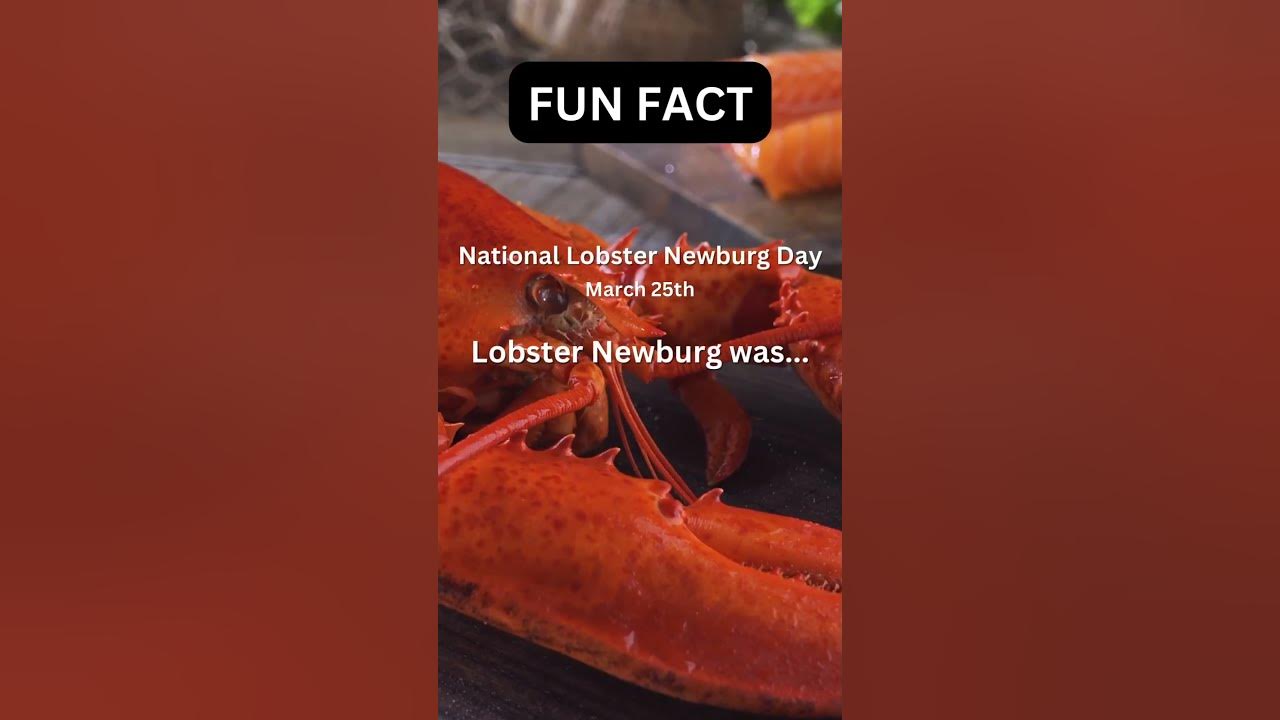 Unlock the Secrets of National Lobster Newburg Day! facts shorts 