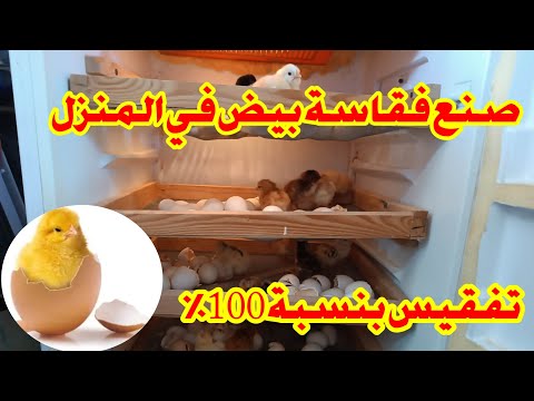 تصنيع فقاسة بيض في المنزل باسهل طريقة وتكلفة بسيطة فقاسات صنع 
