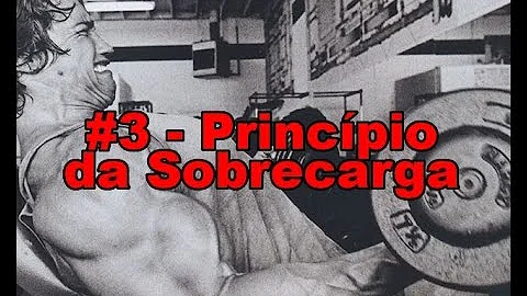 O que são princípios de sobrecarga no treinamento físico?