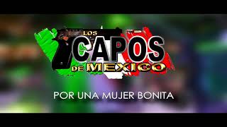 Versión 3 del video