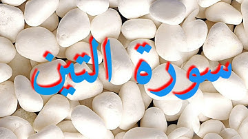 095 سورة التين - عبد الرحمن السديس