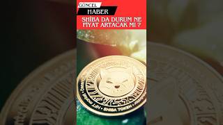 Shiba Da Son Durum Ne Fiyatı Artacak Mı?