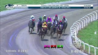 Vidéo de la course PMU PREMIO CHALCHALERO KEY 2018