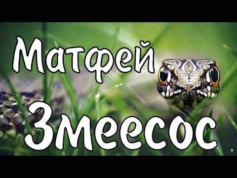 22 августа Народный Праздник День Матфея Змеесоса/Что можно и нельзя делать/Народные традиции