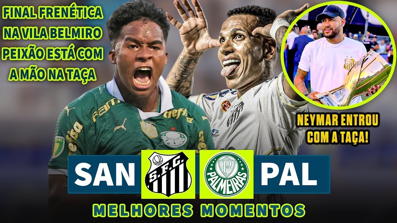 SANTOS 1 X 0 PALMEIRAS MELHORES MOMENTOS FINAL DO CAMPEONATO PAULISTA ...