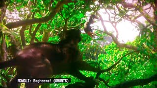 The Jungle Book - The Monkeys Kidnap Mowgli (2016)