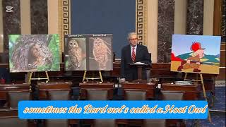 Owl War in the Senate: Kennedy vs. Owl-Killing Plan! | Fact Line 