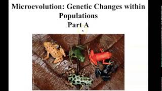 21 Microevolution A