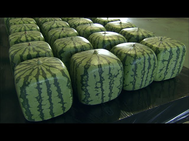 Popular for Display: Shipments of 