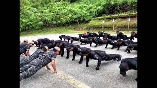 Cqb Training d9 Perak Di Vat 69 Komando Ulu Kinta Perak