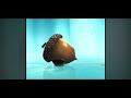 Ice Age The Meltdown 2006 Scrat S Got Stuck In The Water Full Screen 