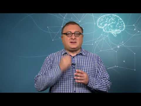 მედია რენტგენი - გაზეთი როგორც ორგანიზატორი