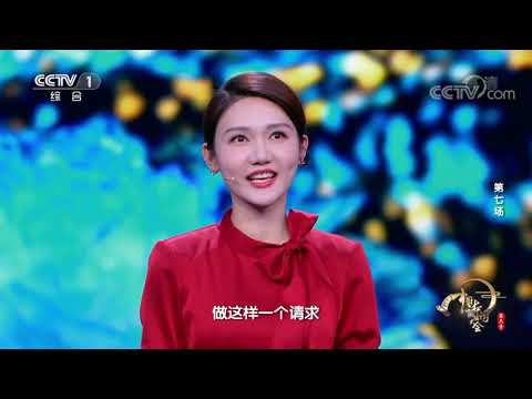 [中国诗词大会]龙洋为她争取一个登台机会 百人团全票通过| CCTV
