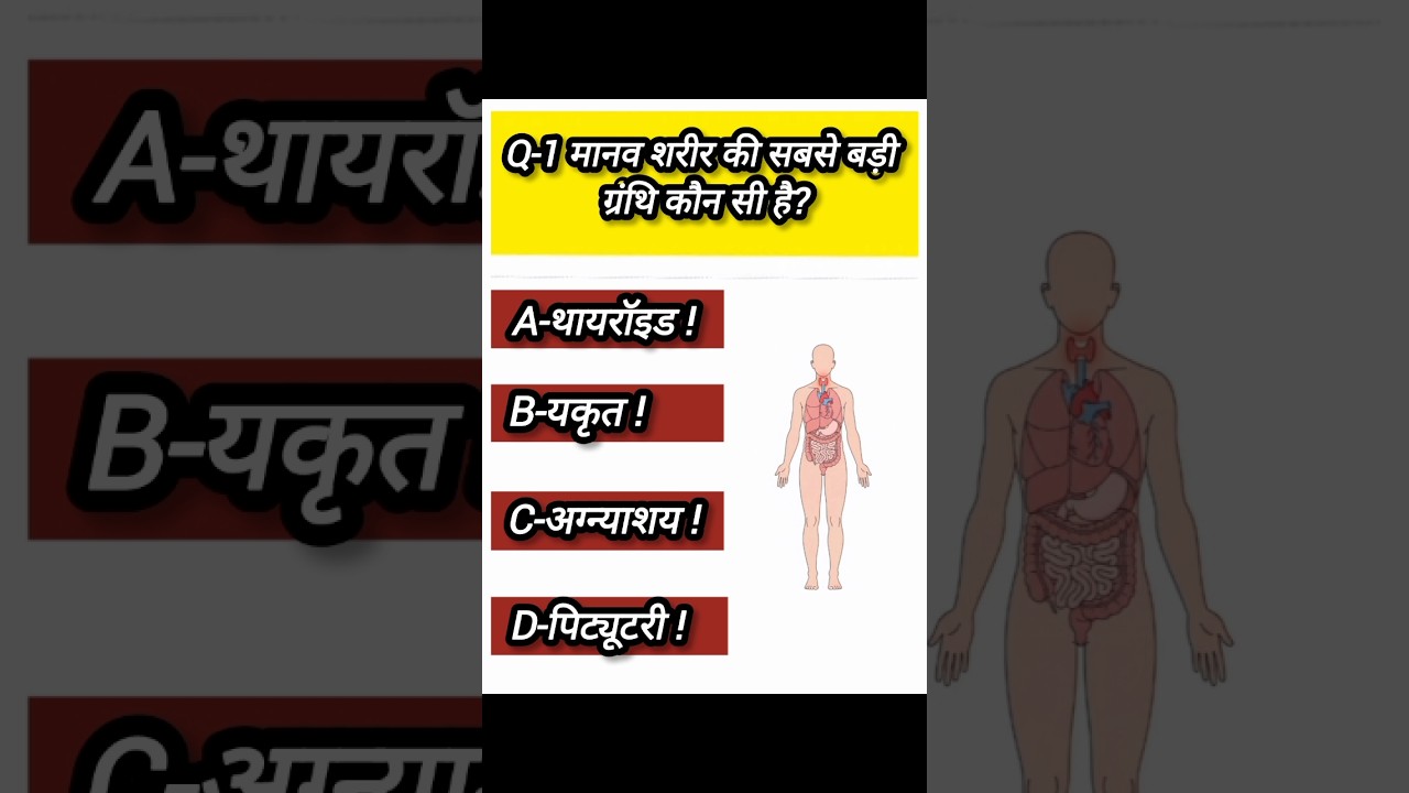 “2026 GK Questions | Most Important General Knowledge for Exams | Top 100 GK Questions”