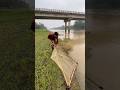 Traditional river amazing small fish hunting skills