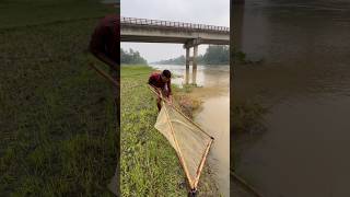 Traditional river amazing small fish hunting skills
