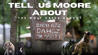 Things you didn't know about this Cane Corso Ranch
