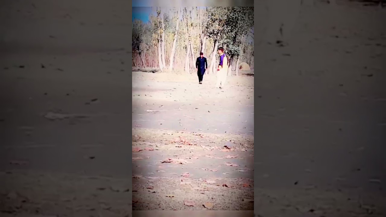 Stylish young of cricket match - mr 