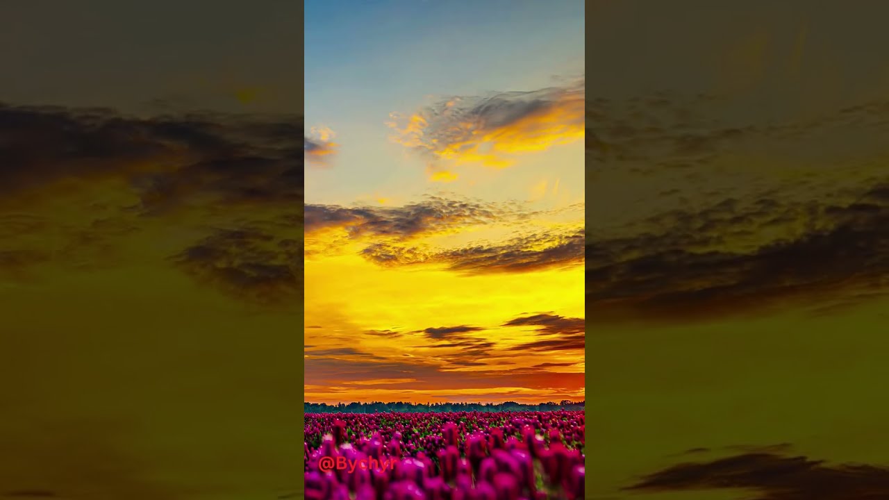 Мен тозокко бара жаткам, анан...