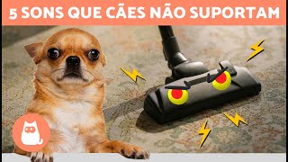 5 SONS QUE OS CÃES MAIS ODEIAM 🐶🔊❌ Eles não os suportam!