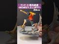 【レビュー】めっちゃ楽しみにしていた、プライズ作品でまさかの…(笑)#ワンピース #プライズ#おすすめ #ルッチ#ルフィ #おすすめ #shorts #みかんだいふく