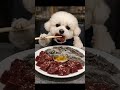 One bite is all it takes! Dipped raw liver in sesame oil—absolutely delicious~ 🥩기름장 찍은 생간, 얼마나 맛있게요~