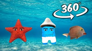 Oceanic Gegagedigedagedago But it's 360 degree video #2
