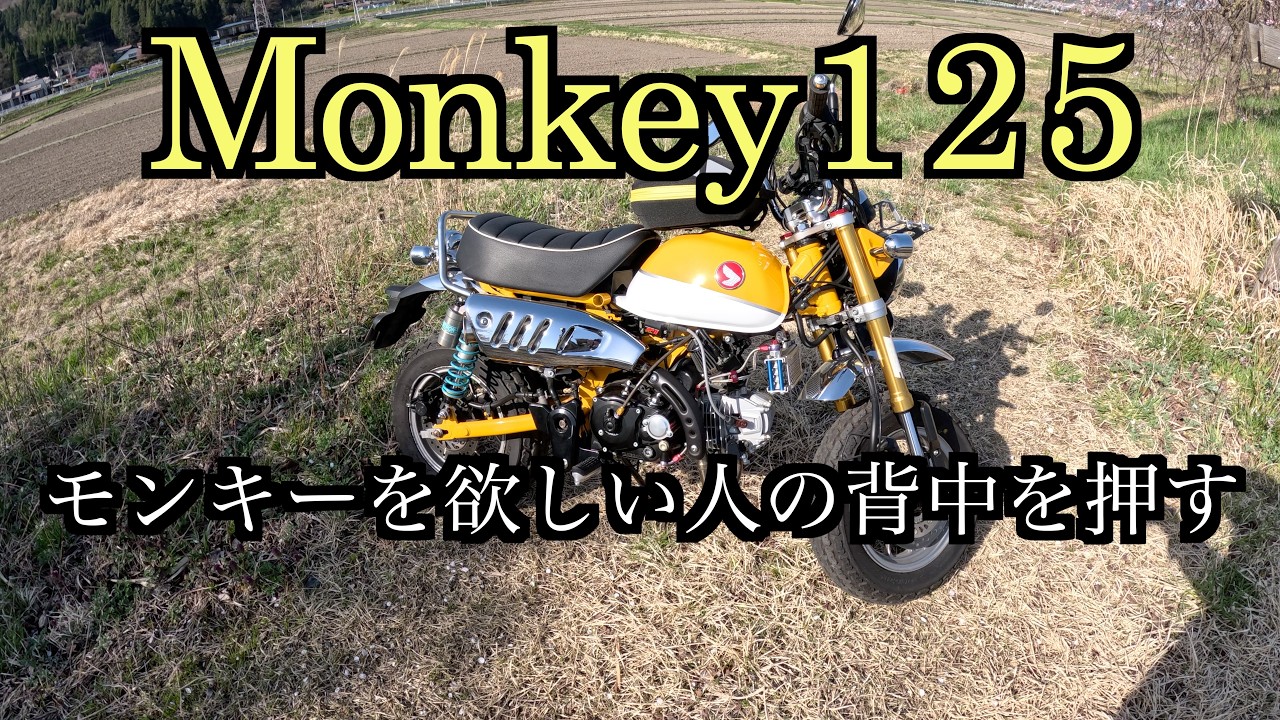 Monkey 125] A story to encourage those who want a Monkey and how