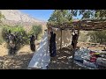 Nomadic Life | Pitching the Curtain and Preparing Shelter in the Heart of Nature