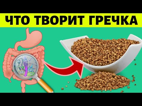 Что будет если есть ГРЕЧКУ каждый день | ПОЛЬЗА И ВРЕД ГРЕЧКИ