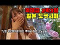 단돈 4만원대로 떠난 일본 소도시 여기 대박이네요 도쿠시마 2박3일 여행기 단돈 4만원대로 떠난 일본 소도시 여기 대박이네요 도쿠시마 2박3일 여행기