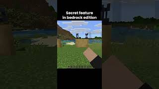 secret features in bedrock edition #minecraft