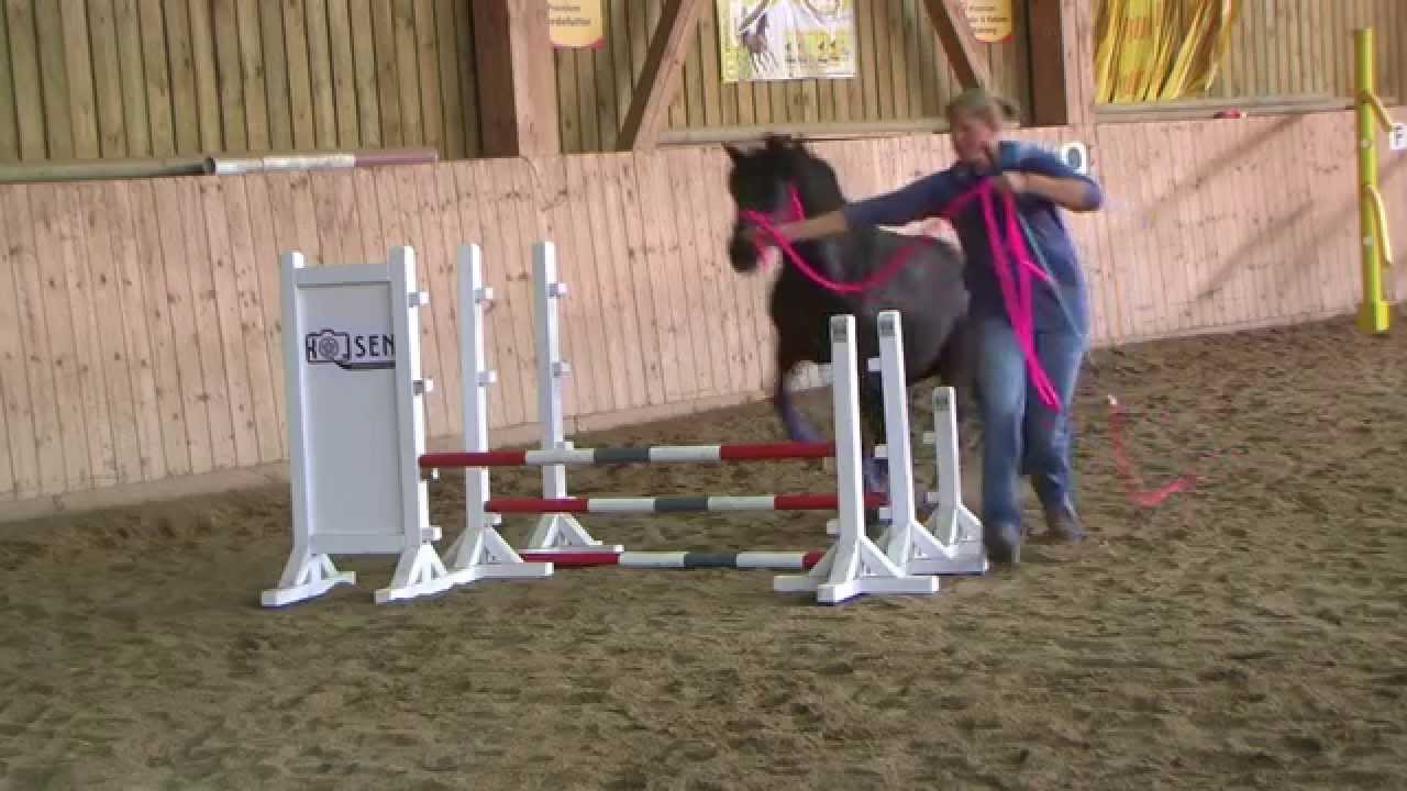 HorseBasics Freestyle Horse Agility Training mit Kinderreitpony "Bella