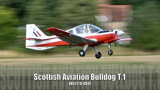 Scottish Aviation Bulldog T 1 XX621   Shuttleworth Family Airshow 2024   4K