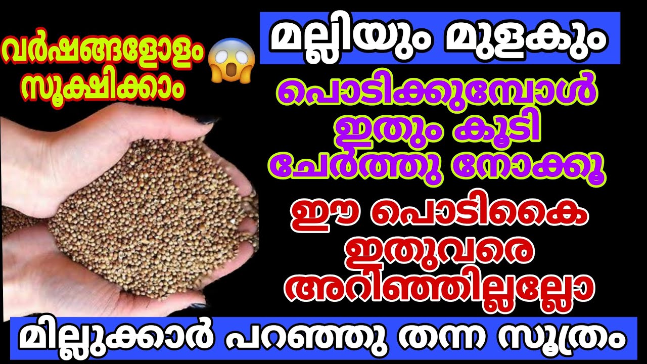 മല്ലി മുളക് പൊടിക്കുമ്പോൾ ഇവകൂടി ചേർക്കൂ/വർഷങ്ങളോളം സൂക്ഷിക്കാം/Tips to make masala powder