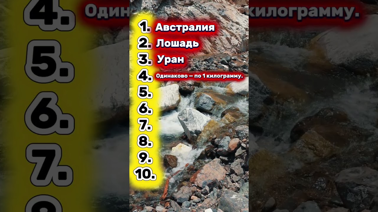 Прокачай мозг. 