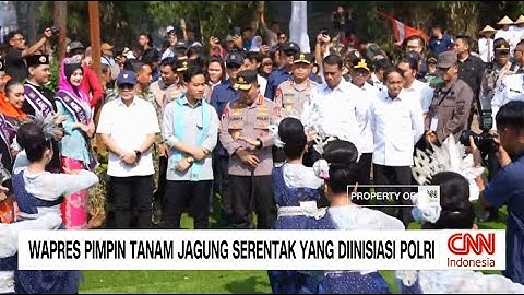 Wapres Pimpin Tanam Jagung Serentak Yang Diinisiasi Polri