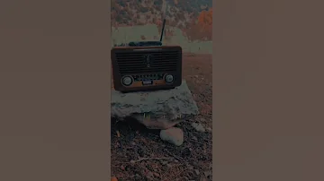 قولو لعمري يا 