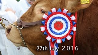 Nantwich Show 2016 incorporating the International Cheese Awards