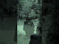 Assustador na floresta  😨#terror #assustador #curtometragem #agora #portugal #Brasil