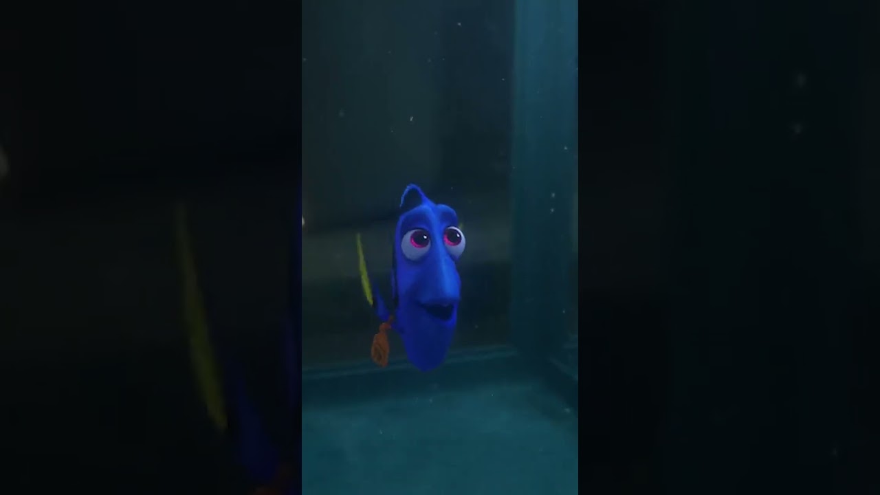 Hank Shouts At Dory for Tag | Dory Tells About Her Short-Term Memory Loss - Finding Dory Part 25