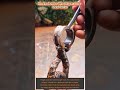Handmade Rebar Wire Stripper: Scrap Metal Genius