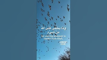 سورة إبراهيم بصوت يريح القلب / Surah Ibrahim/ واتس اب