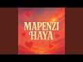 Mapenzi Haya