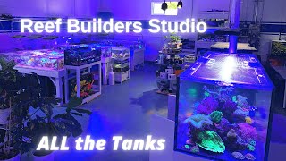 EVERY Display at the Reef Builders Studio