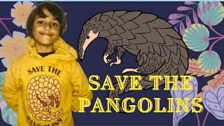World Pangolin Day Save the Pangolins